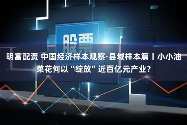 明富配资 中国经济样本观察·县域样本篇丨小小油菜花何以“绽放”近百亿元产业？