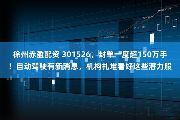 徐州赤盈配资 301526，封单一度超150万手！自动驾驶有新消息，机构扎堆看好这些潜力股